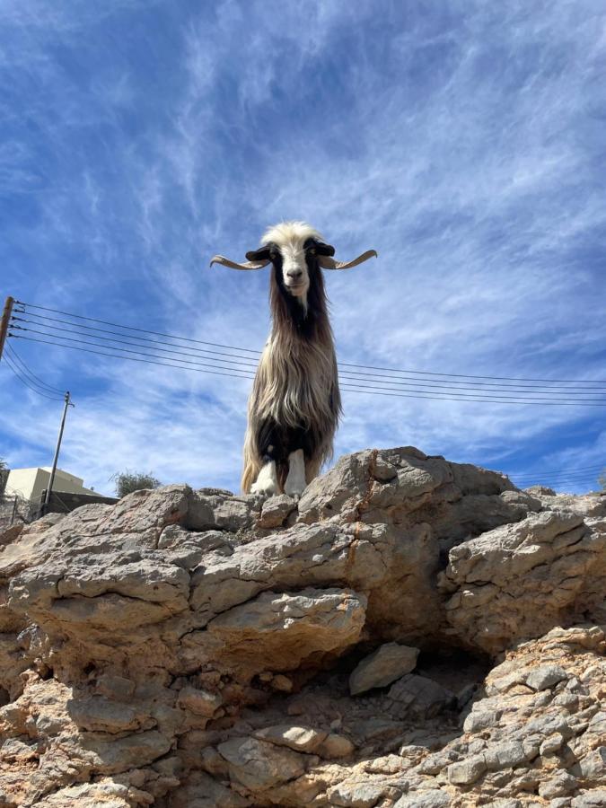 Balcony Walk Rest House Jabal Shams Saab Bani Khamis Dış mekan fotoğraf
